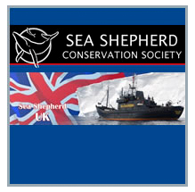 Sea Shepard marine conservation charity appear on SHA website